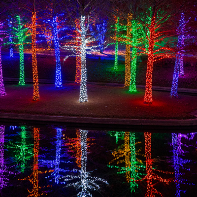 Christmas Lights for Outdoor Trees