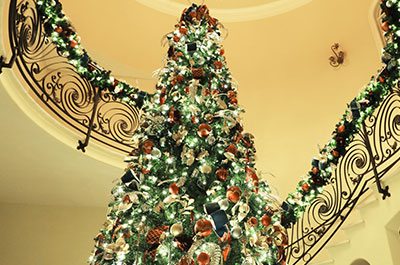 Majestic Outdoor Commercial Christmas Tree