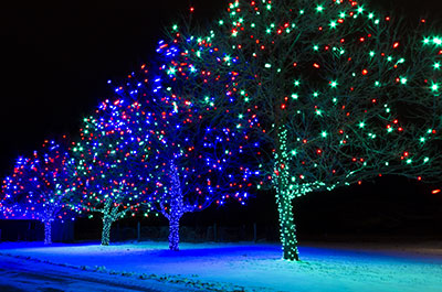 LED Christmas Lights