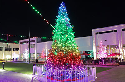 Twinkly Pro RGBW Christmas Lights