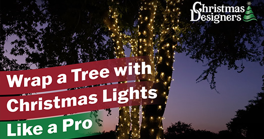 Wrap A Tree With Lights Like A Pro