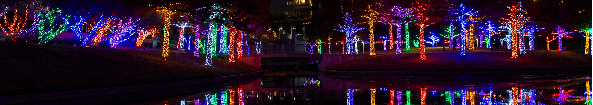Christmas Lights For Outdoor Trees