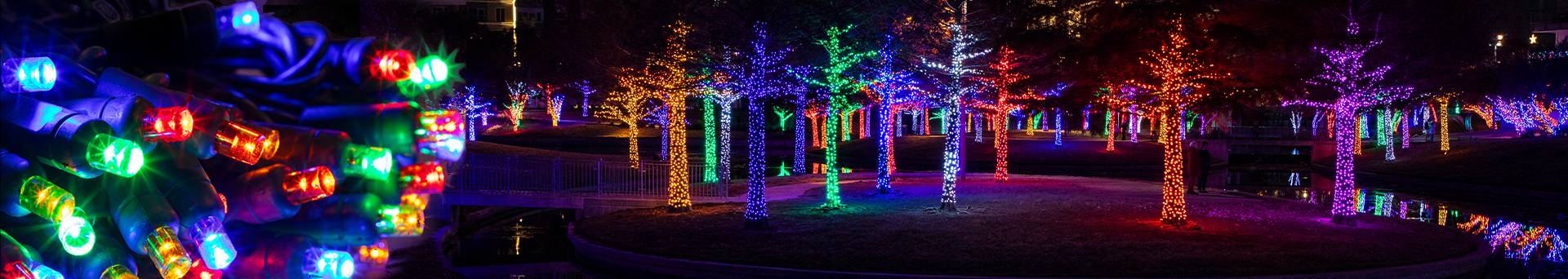 LED Christmas Lights