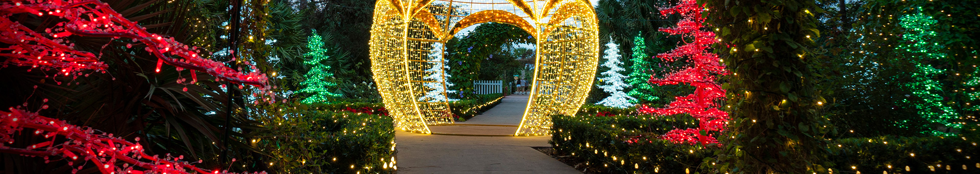 LED Light Trees LED Light Trees