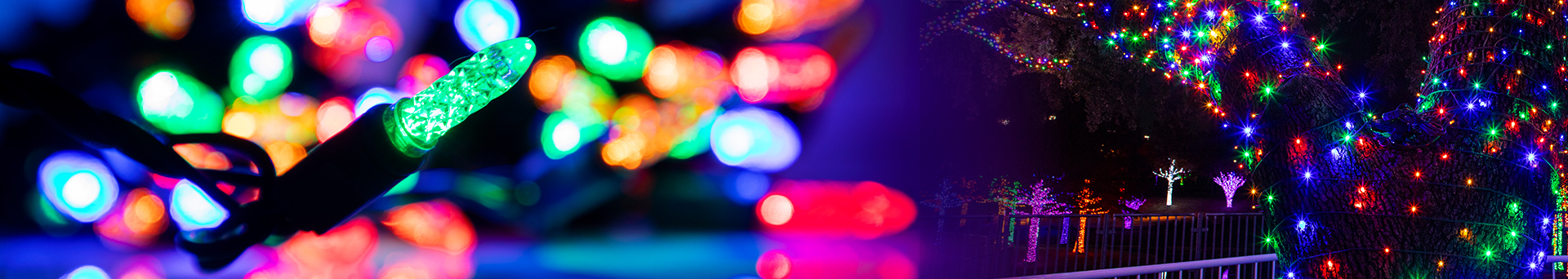 M5 LED Mini Christmas Lights