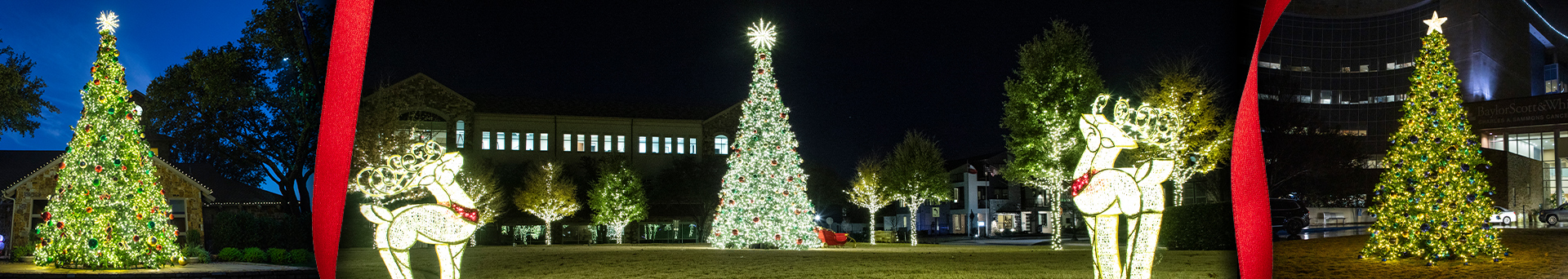 Commercial Trees Commercial Trees