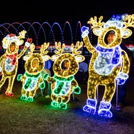2D Christmas Decorations