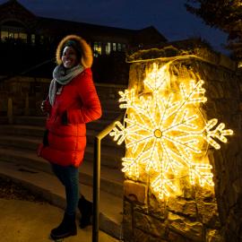 36 Inch LED Snowflakes