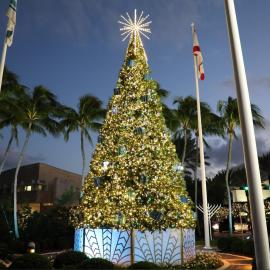 Large Lighted Christmas Tree