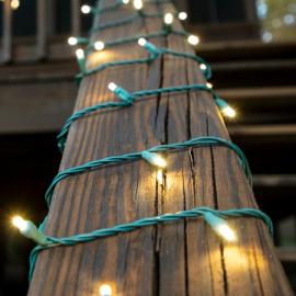 Green Wire Christmas Lights