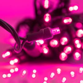 Pink LED Christmas Lights