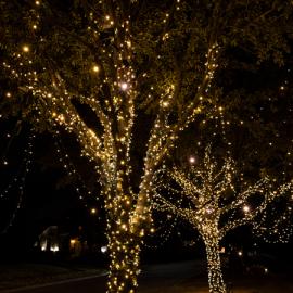 Small Christmas Lights