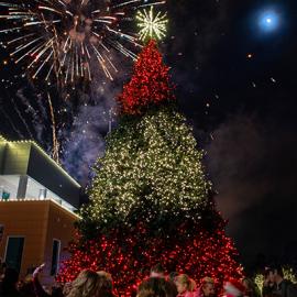 Twinkly Pro RGB Animated Majestic Mountain Pine Trees