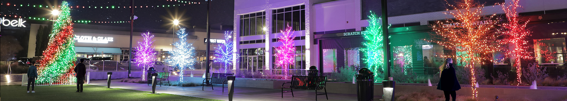 Pro Christmas 5mm Wide Angle Conical RGB Lights