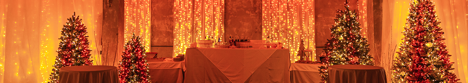 Twinkly Plus Christmas Lights