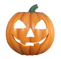 6' Pumpkin Photo Op