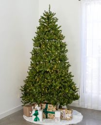 7.5' Indoor LED McKenzie Noble Fir Tree - Warm White