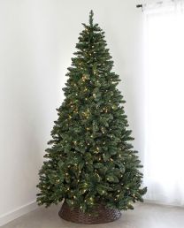 7.5' Indoor LED Oregon Grand Fir Tree - Warm White