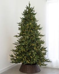 7.5' Indoor LED Mixed Foxtail Pine Tree - Warm White