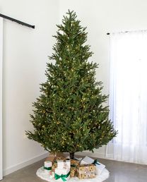 9' Indoor LED Upswept Norway Spruce Tree - Warm White