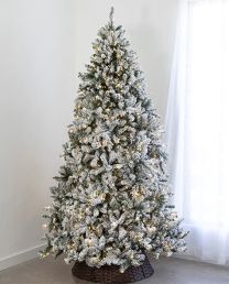 7.5' Indoor LED Flocked Appalachian Spruce Tree - Warm White