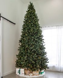 12' Indoor LED Oregon Grand Fir Tree - Warm White