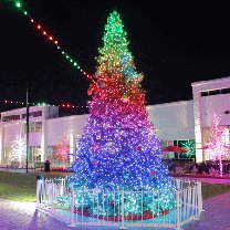 18' Twinkly Pro RGBW Majestic Mountain Pine Tree