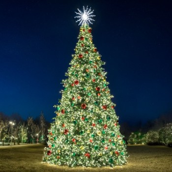 28' Majestic Pine Christmas Tree - Lit with Topper