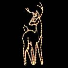 7 1/2' Standing Buck