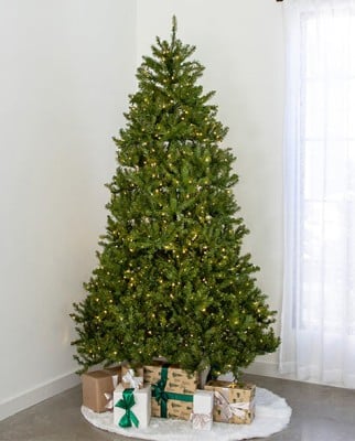 7.5' Indoor LED McKenzie Noble Fir Tree - Warm White