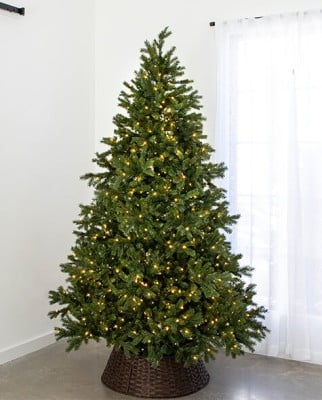 7.5' Indoor LED Sacred Fir Tree - Warm White
