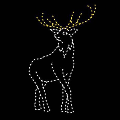 10' Elk
