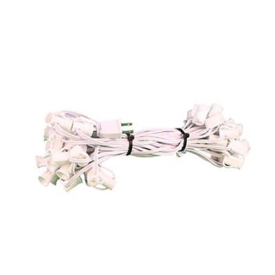 C7 Cord White Wire 12" Spacing