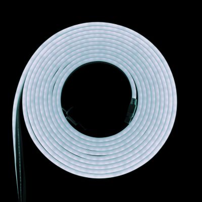 Solid Color Neon - 16.4' - Cool White