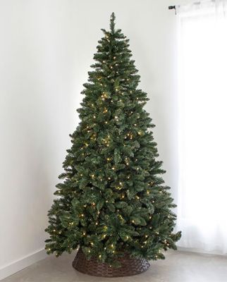 7.5' Indoor LED Oregon Grand Fir Tree - Warm White