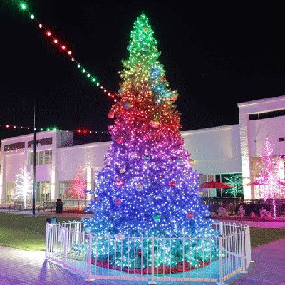 12' Twinkly Pro RGBW Majestic Mountain Pine Tree