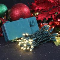 Battery Operated Christmas Lights