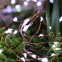 LED Fairy Lights