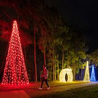 LED Light Trees
