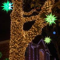 Moravian Stars