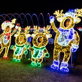 Category 2D Christmas Decorations image