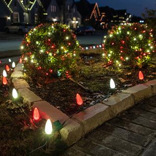 Category Large Bulb Christmas Lights image