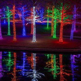 Category Christmas Lights For Outdoor Trees image