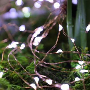Category LED Fairy Lights image