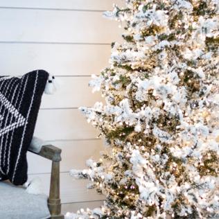 Category Flocked Christmas Trees image