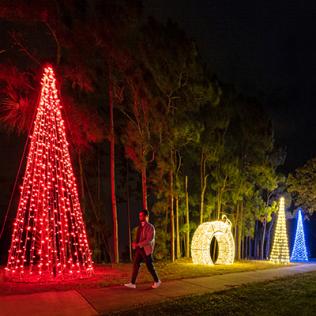 Category LED Light Trees image