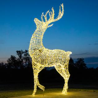 Category Lighted Christmas Reindeer image