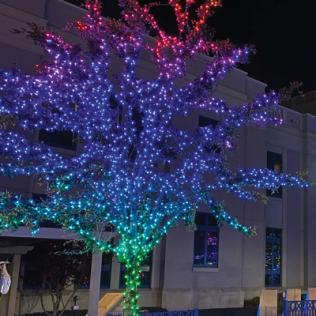 Category Pro Christmas RGB Lights image