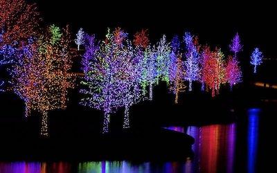 Tap Into the Power of "Color Consolidation" for Your Christmas Light Display