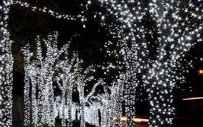 Landscape Lighting